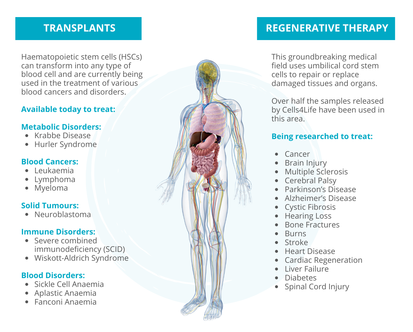 Cord Blood Banking 101 What Expectant Parents Should Know